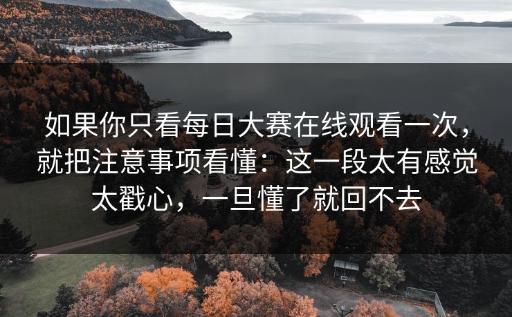 如果你只看每日大赛在线观看一次，就把注意事项看懂：这一段太有感觉太戳心，一旦懂了就回不去